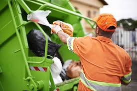 Best Demolition Debris Removal  in Reese, MI