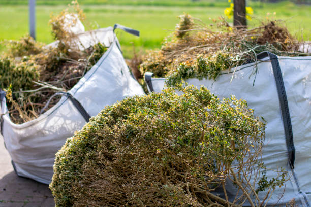 Best Same-Day Junk Removal Services  in Reese, MI